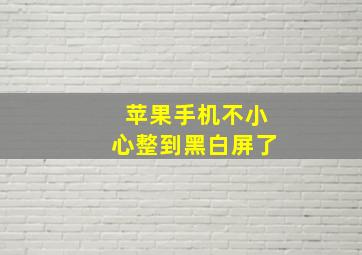 苹果手机不小心整到黑白屏了