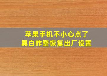 苹果手机不小心点了黑白咋整恢复出厂设置