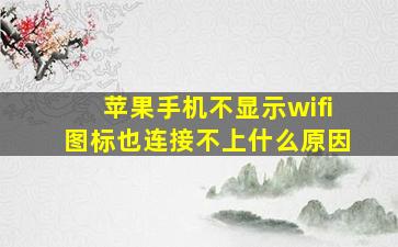 苹果手机不显示wifi图标也连接不上什么原因