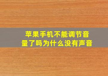 苹果手机不能调节音量了吗为什么没有声音