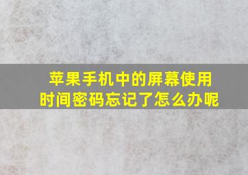 苹果手机中的屏幕使用时间密码忘记了怎么办呢