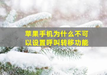 苹果手机为什么不可以设置呼叫转移功能