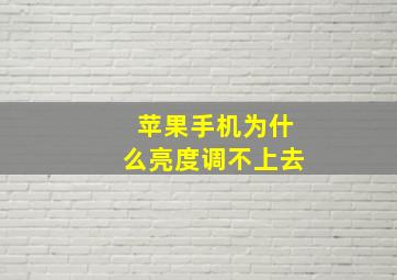 苹果手机为什么亮度调不上去