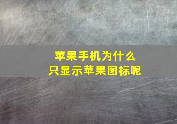 苹果手机为什么只显示苹果图标呢