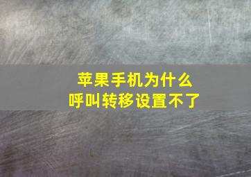 苹果手机为什么呼叫转移设置不了