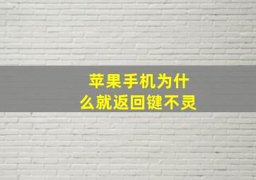 苹果手机为什么就返回键不灵