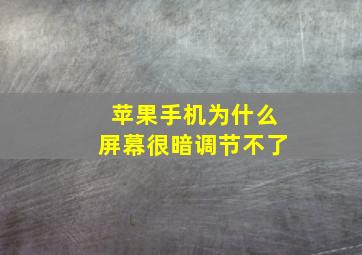 苹果手机为什么屏幕很暗调节不了