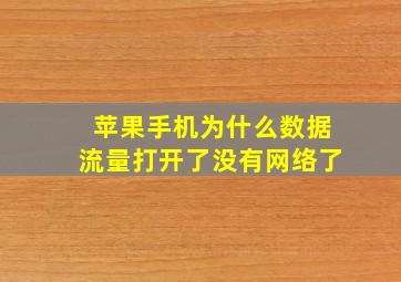 苹果手机为什么数据流量打开了没有网络了