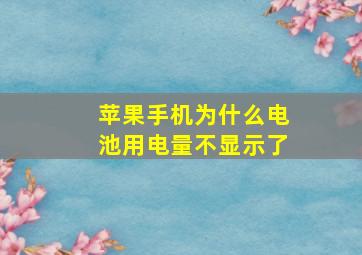 苹果手机为什么电池用电量不显示了