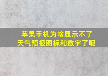 苹果手机为啥显示不了天气预报图标和数字了呢