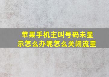 苹果手机主叫号码未显示怎么办呢怎么关闭流量