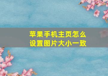 苹果手机主页怎么设置图片大小一致