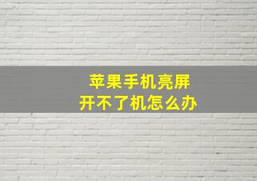 苹果手机亮屏开不了机怎么办