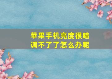 苹果手机亮度很暗调不了了怎么办呢