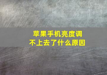 苹果手机亮度调不上去了什么原因