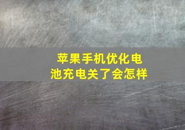 苹果手机优化电池充电关了会怎样