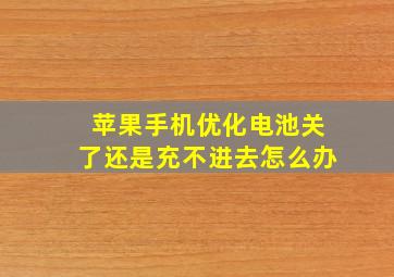 苹果手机优化电池关了还是充不进去怎么办