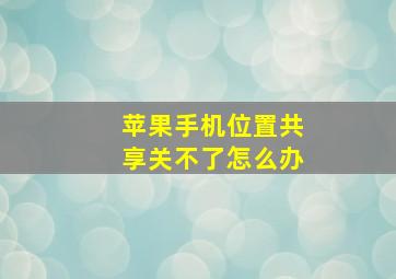 苹果手机位置共享关不了怎么办