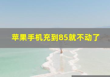 苹果手机充到85就不动了