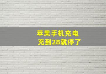 苹果手机充电充到28就停了