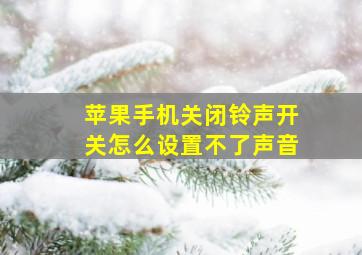 苹果手机关闭铃声开关怎么设置不了声音