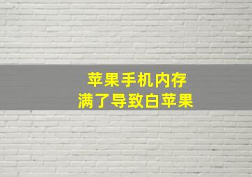 苹果手机内存满了导致白苹果