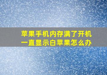 苹果手机内存满了开机一直显示白苹果怎么办