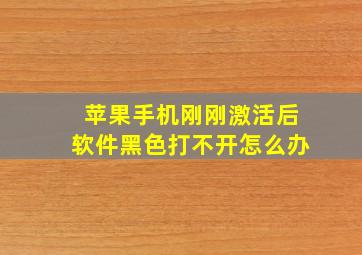 苹果手机刚刚激活后软件黑色打不开怎么办