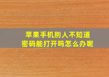 苹果手机别人不知道密码能打开吗怎么办呢