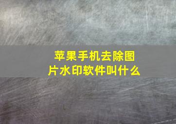 苹果手机去除图片水印软件叫什么