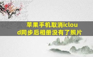 苹果手机取消icloud同步后相册没有了照片