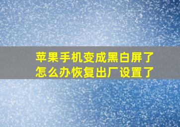 苹果手机变成黑白屏了怎么办恢复出厂设置了