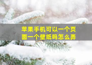 苹果手机可以一个页面一个壁纸吗怎么弄