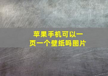 苹果手机可以一页一个壁纸吗图片