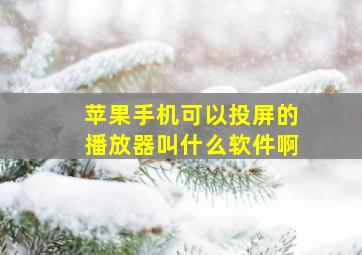 苹果手机可以投屏的播放器叫什么软件啊