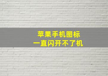 苹果手机图标一直闪开不了机