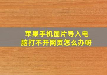 苹果手机图片导入电脑打不开网页怎么办呀