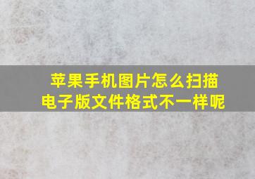 苹果手机图片怎么扫描电子版文件格式不一样呢