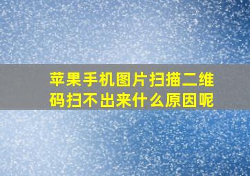 苹果手机图片扫描二维码扫不出来什么原因呢