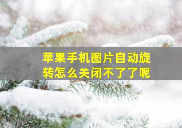 苹果手机图片自动旋转怎么关闭不了了呢