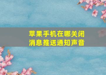 苹果手机在哪关闭消息推送通知声音