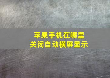 苹果手机在哪里关闭自动横屏显示