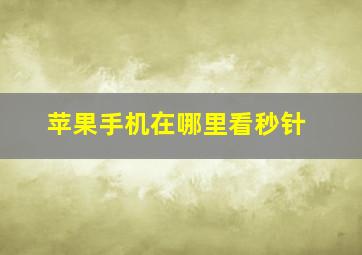 苹果手机在哪里看秒针