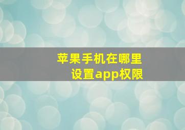 苹果手机在哪里设置app权限