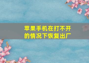 苹果手机在打不开的情况下恢复出厂