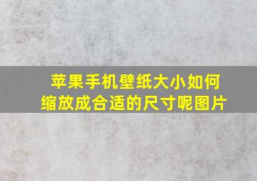 苹果手机壁纸大小如何缩放成合适的尺寸呢图片