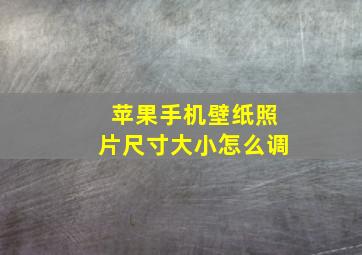 苹果手机壁纸照片尺寸大小怎么调