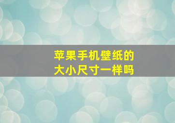 苹果手机壁纸的大小尺寸一样吗