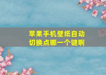 苹果手机壁纸自动切换点哪一个键啊