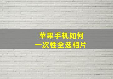 苹果手机如何一次性全选相片